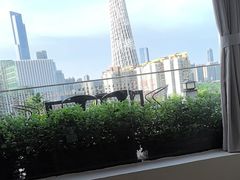 -小茶闲舍·观景商务茶馆(广州塔店)