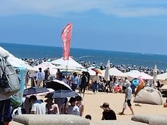 -日照海滨国家森林公园