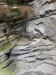 -Zoolung Zoolung动物主题公园(海信广场店)