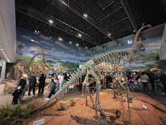 -自贡恐龙博物馆