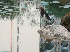 -四海公园(南山区)