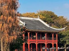 -顺峰山公园
