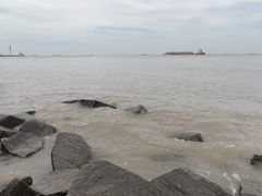 -上海滨江森林公园
