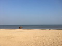 -日照海滨国家森林公园