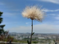 -南京市江宁方山
