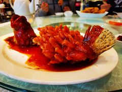 松鼠桂鱼-亢龙太子酒轩·花园店