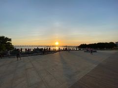 -宝安西湾红树林湿地公园