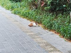 -深圳湾公园(南山区)