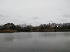 景点-新江湾城公园