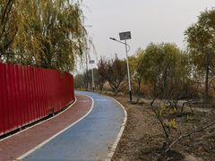 -绿堤公园