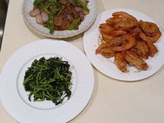 -悦芽照护月嫂+育儿嫂(杭州店)