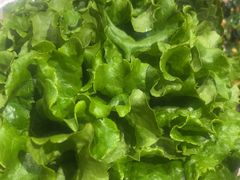 -金山烤肉(中兴公园店)