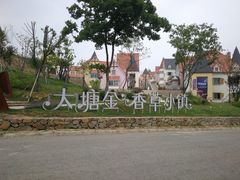 -大塘金香草谷