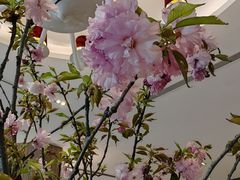 -圣丰索菲特·2 On 988 Café 自助餐厅