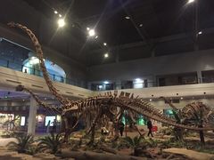 -自贡恐龙博物馆