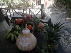-Meena Rice Based Cuisine