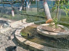 -青藏高原野生动物园