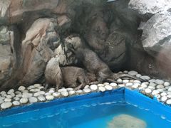 -南昌融创海世界