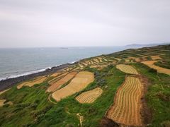 -长江澳风力发电景观区