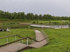 -洨河生态公园