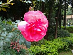 -人民公园(罗湖区)