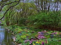 -上海共青森林公园