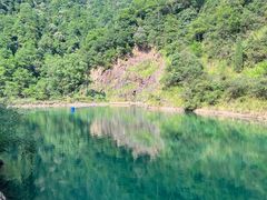 -大奇山国家森林公园