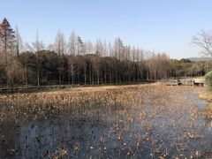 -渤公岛生态公园