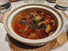 白煨肥肠臭豆腐-二十四单 淮扬新味