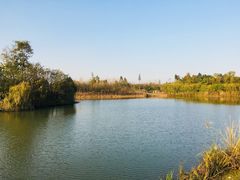 -白鹭湾湿地公园