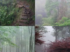 -溪口-滕头旅游景区