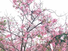 -宝墨园景区
