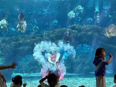 -郑州海洋馆