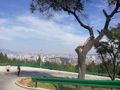 -原山国家森林公园