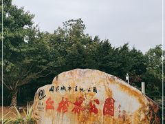 -大亚湾红树林城市湿地公园