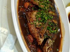 家烧扁鱼-小龙酒家(桂平路店)