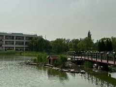-古塔公园