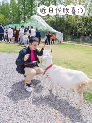 -前小桔亲子创意农场·草莓采摘·露营烧烤
