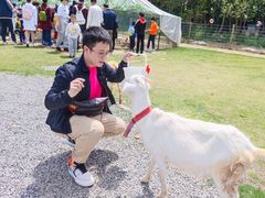 -前小桔亲子创意农场·草莓采摘·露营烧烤