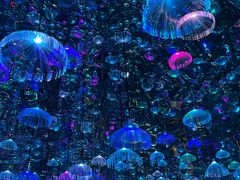 -上海梵高星空艺术馆(南京路旗舰店)