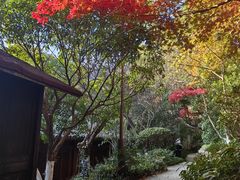 -杭州半山国家森林公园