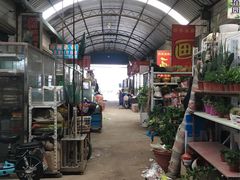 -南汇花鸟市场(上海浦东新花卉店)