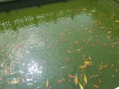 -莆田南少林寺