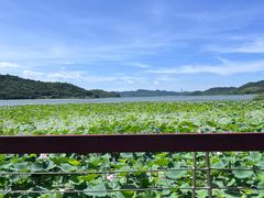 -东钱湖旅游度假区