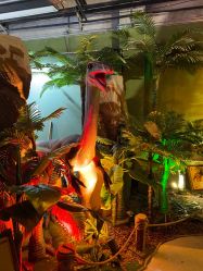 -恐龙探索乐园(磁器口店)