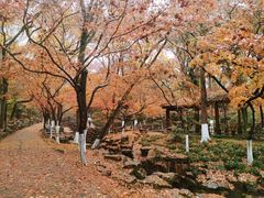 -虞山风景区
