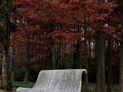 -东湖磨山景区