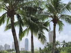 -万绿园