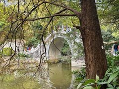 -深圳仙湖植物园