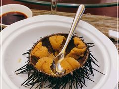 -奕景酒家· 专注大连海鲜30年(星海广场店)